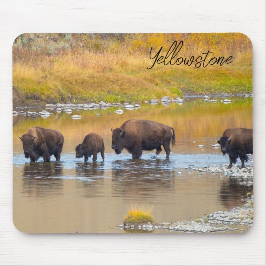 Nationalpark Bison River Crossing Yellowstone Mousepad (Vorne)