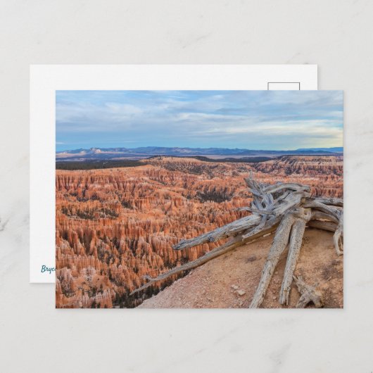 Nationalpark Bryce Canyon bei Sunrise Postkarte (Vorne/Hinten)