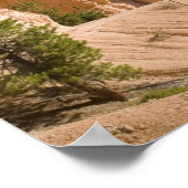 Nationalpark Bryce Canyon Poster (Ecke)