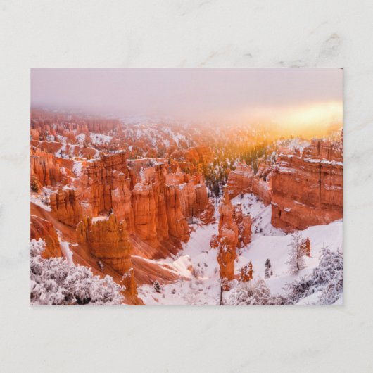 Nationalpark Bryce Canyon Postkarte (Vorderseite)