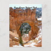 Nationalpark Bryce Canyon Postkarte (Vorderseite)