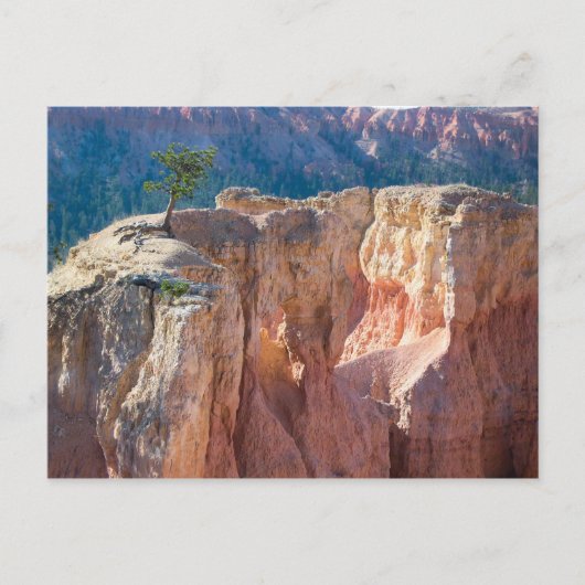 Nationalpark Bryce Canyon Postkarte (Vorderseite)