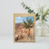 Nationalpark Bryce Canyon, Utah Postkarte (Stehend Vorderseite)