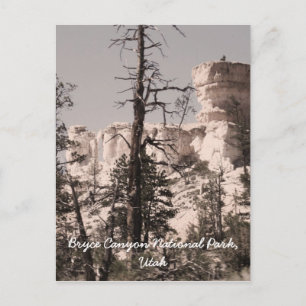 Nationalpark Bryce Canyon, Utah Postkarte