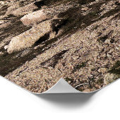 Nationalpark Cairngorms Poster (Ecke)
