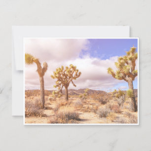 Nationalpark California Joshua Trees Landschaft Postkarte
