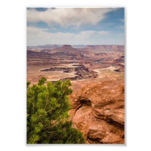Nationalpark Canyonlands Fotodruck
