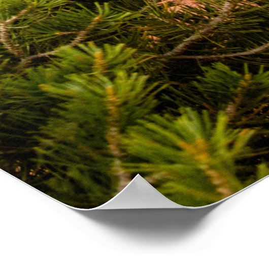 Nationalpark Canyonlands Poster (Ecke)