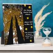 Nationalpark Centennale Hot Springs Herbst Gold Fotoplatte (Seite)