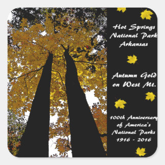 Nationalpark Centennale Hot Springs Herbst Gold Quadratischer Aufkleber