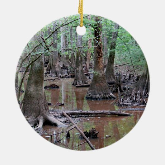 Nationalpark Congaree Keramik Ornament (Hinten)