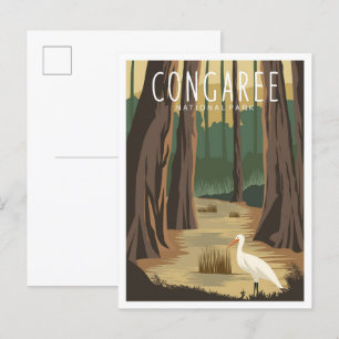 Nationalpark Congaree Süd Carolina Postkarte