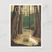 Nationalpark Congaree Süd Carolina Postkarte (Vorderseite)