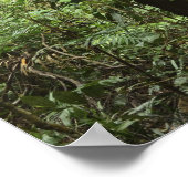 Nationalpark Daintree (UNESCO Welterbe 2 Poster (Ecke)