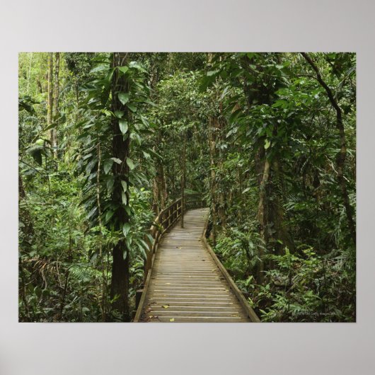 Nationalpark Daintree (UNESCO Welterbe 2 Poster (Vorne)