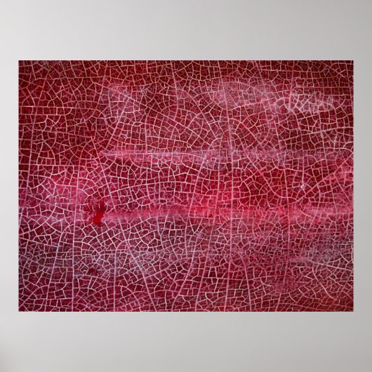 Nationalpark Death Valley Poster (Vorne)