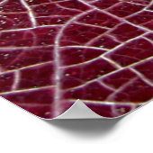 Nationalpark Death Valley Poster (Ecke)