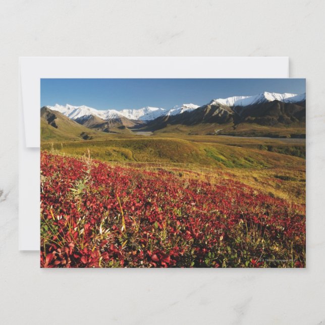 Nationalpark Denali (Vorderseite)