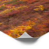 Nationalpark Denali, Alaska im Landschaftlichen He Poster (Ecke)