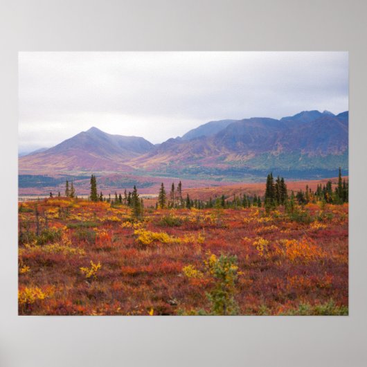 Nationalpark Denali, Alaska im Landschaftlichen He Poster (Vorne)