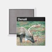 Nationalpark Denali Magnet (Vorderseite/Rückseite)