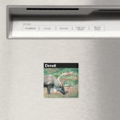 Nationalpark Denali Magnet (In Situ (Geschirrspüler))