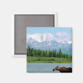 Nationalpark Denali Magnet (Vorderseite/Rückseite)