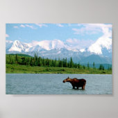 Nationalpark Denali Poster (Vorne)