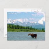 Nationalpark Denali Postkarte (Vorne/Hinten)