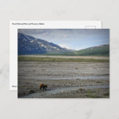 Nationalpark Denali und Schutzgebiet Alaska Postkarte (Vorne/Hinten)
