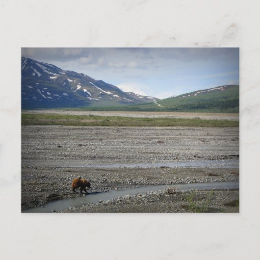 Nationalpark Denali und Schutzgebiet Alaska Postkarte (Vorderseite)