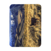 Nationalpark der Great Sand Dunes, Colorado Magnet (Vertikal)