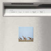 Nationalpark Etosha, Namibia 2 Magnet (In Situ (Geschirrspüler))