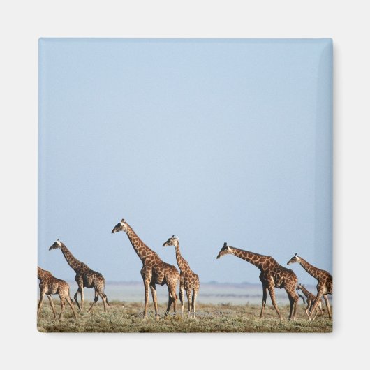 Nationalpark Etosha, Namibia 2 Magnet (Vorne)