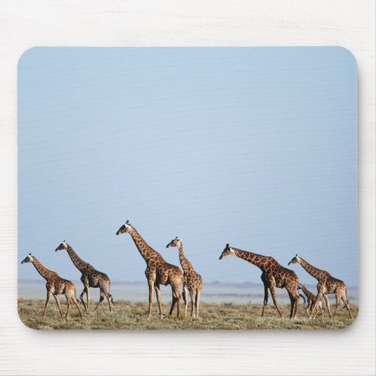 Nationalpark Etosha, Namibia 2 Mousepad (Vorne)