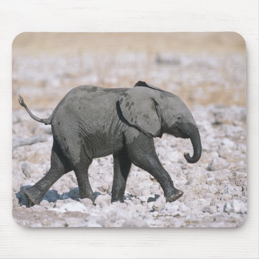 Nationalpark Etosha, Namibia Mousepad (Vorne)