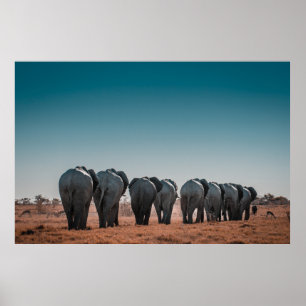 NATIONALPARK ETOSHA POSTER