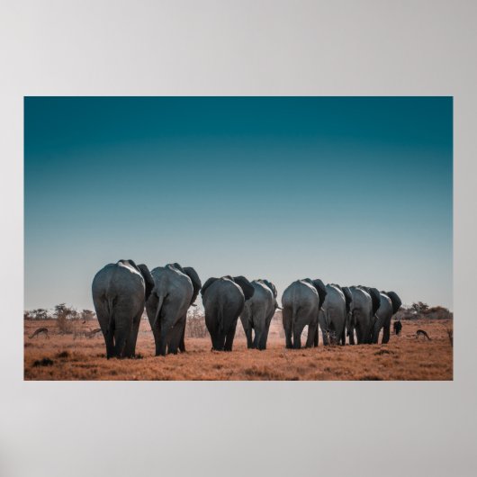NATIONALPARK ETOSHA POSTER (Vorne)
