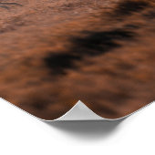 NATIONALPARK ETOSHA POSTER (Ecke)