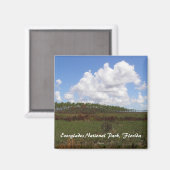 Nationalpark Everglades, Florida Magnet (Vorderseite/Rückseite)
