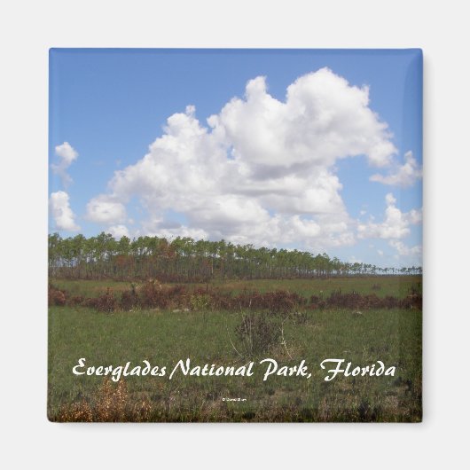 Nationalpark Everglades, Florida Magnet (Vorne)