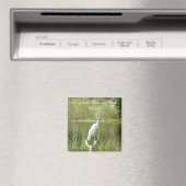 Nationalpark Everglades, Florida Magnet (In Situ (Geschirrspüler))