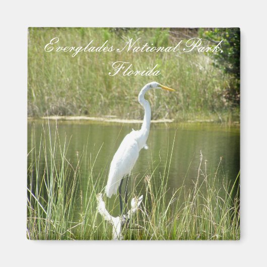 Nationalpark Everglades, Florida Magnet (Vorne)