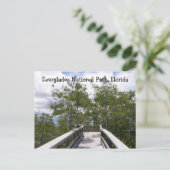 Nationalpark Everglades, Florida Postkarte (Stehend Vorderseite)