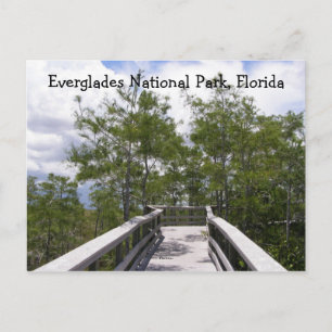 Nationalpark Everglades, Florida Postkarte