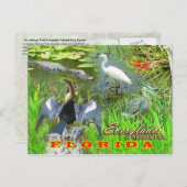 Nationalpark Everglades, Florida Postkarte (Vorne/Hinten)