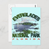Nationalpark Everglades, Florida Postkarte (Vorne/Hinten)