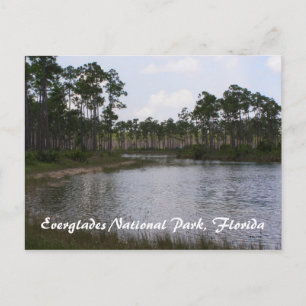 Nationalpark Everglades, Florida Postkarte