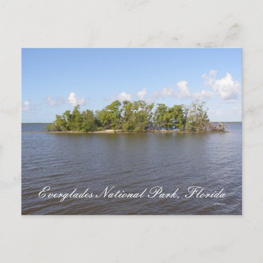 Nationalpark Everglades, Florida Postkarte (Vorderseite)