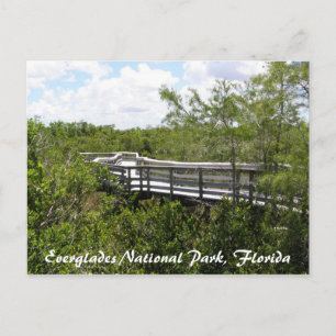 Nationalpark Everglades, Florida Postkarte